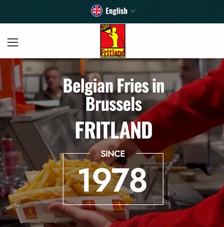 Mobile Darstellung der Fritland Brussels Website