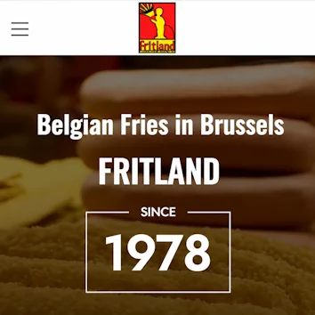 Mobile Ansicht der Fritland Brussels Website