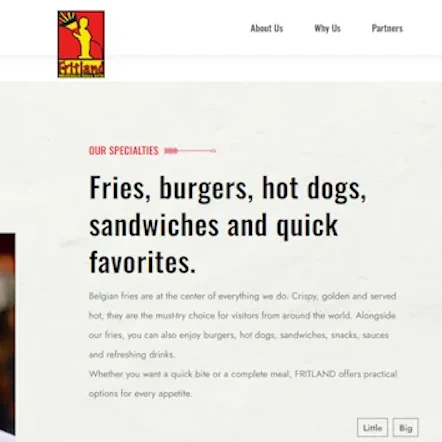 SEO-Optimierung der Fritland Brussels Website