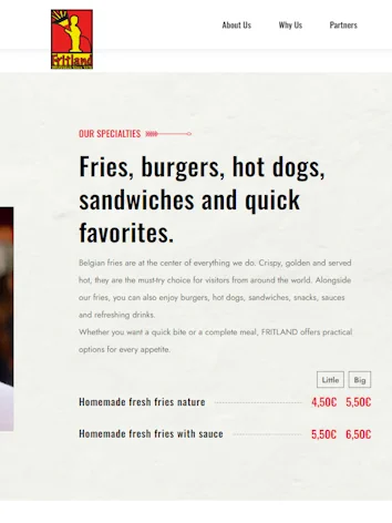 SEO-optimierte Website von Fritland Brussels